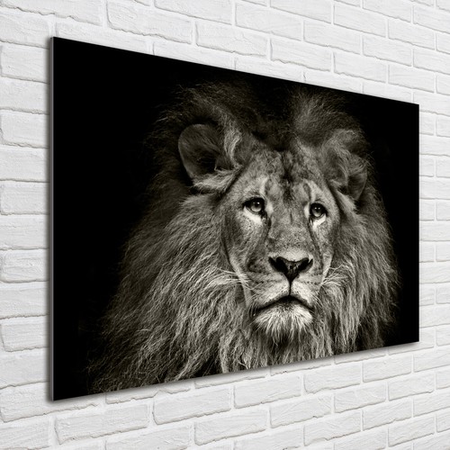 Quadro immagine arte parete - arte,