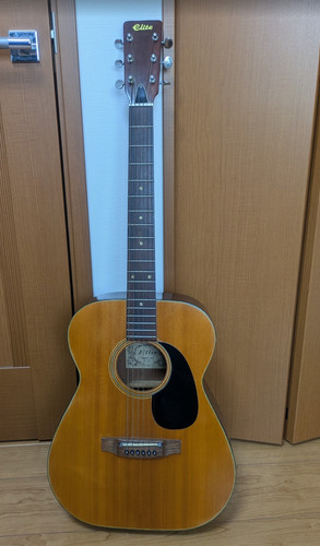 Chitarra acustica takamine - chitarra,