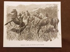 Giuseppe Garibaldi viaggia con