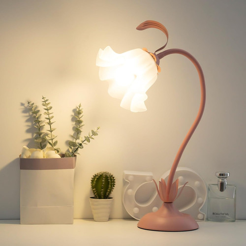 Rosa lampada - lampada, da