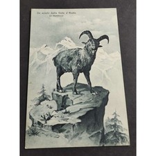 Cartolina Un Saluto dalla