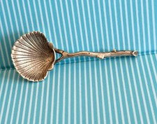 BELLISSIMA RARA CONCHIGLIA