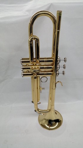 Tromba maxtone con - con, custodia