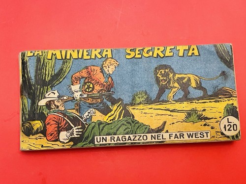 Ragazzo nel far - far, west