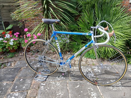 Moser professional bici - moser,