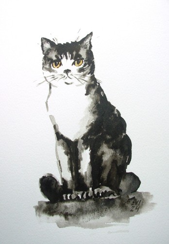 Gatto bianco nero originale - e,