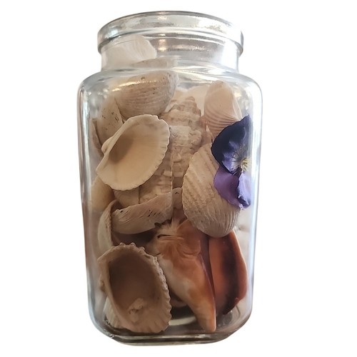 Vaso fleur lis conchiglie - lis,