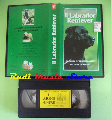 Vhs film labrador retriever - film,