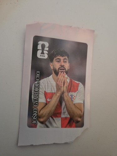 Panini mondiali 2026 - 2026, cola