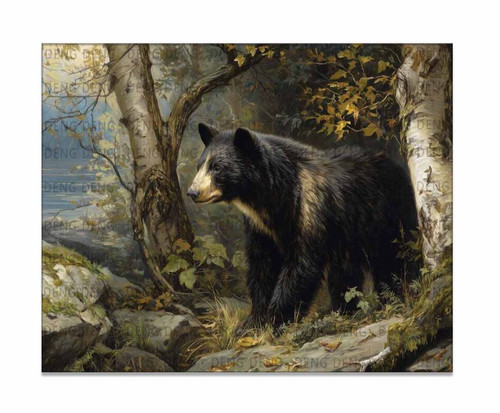 Stampa tela orso - nero, del
