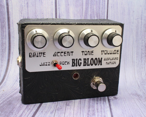Raro overdrive amplified - raro,