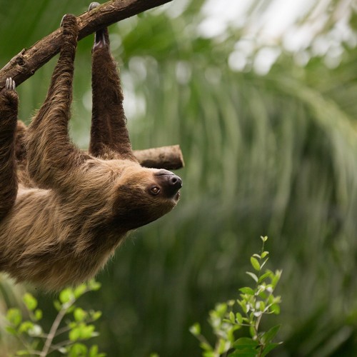 Citytrip lipsia zoo notti - zoo, |
