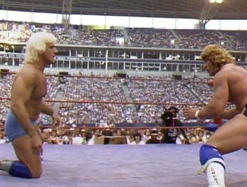 Pro wrestling arena shows - wrestling,