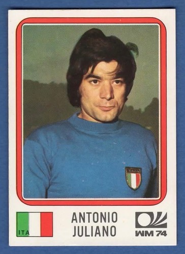Figurina calciatori panini - figurina,