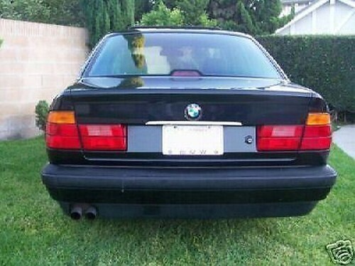 Bacchetta cofano cromo bmw - bacchetta,