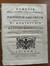 Settecentina- Memoria cultura