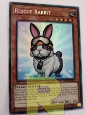 Coniglio Da Soccorso / Rescue