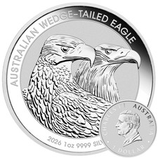 Wedge tailed eagle 2026 - wedge,
