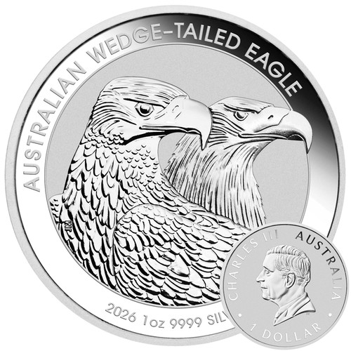 Wedge tailed eagle - tailed,