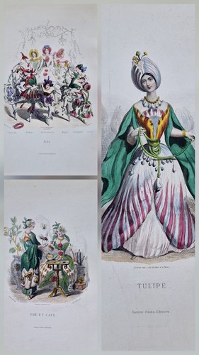 1867 gravure grandville - 3,