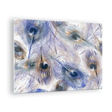 Quadro su Vetro 70x50cm pavone