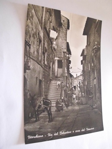 Viterbo vitorchiano via del - -,