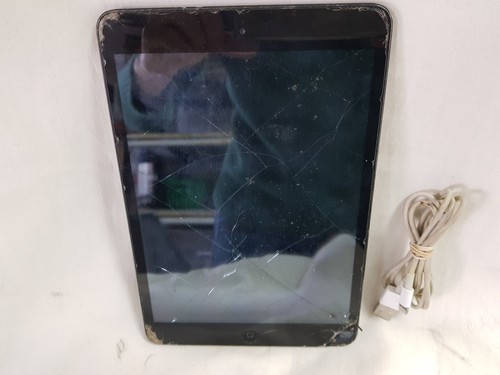 Difettoso apple a1432 ipad - apple,