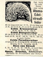 Atama Penna di Mazzo Preziosa Annuncio di Guerra del 1917