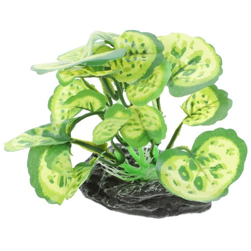 Piante finte per - ,