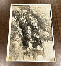 1924 Kolb Brothers foto