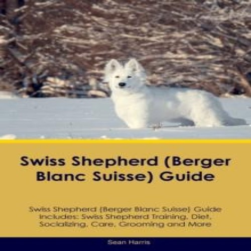 Swiss shepherd berger blanc - swiss,