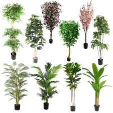 Alberi piante realistiche - piante,
