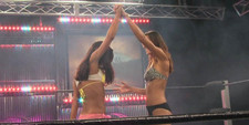 Female Wrestling Professional