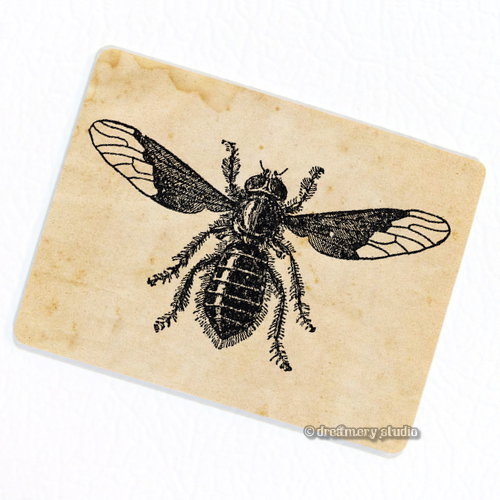 Magnete frigo mosca - mosca, ape