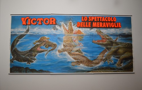 N7662s poster stampa - poster, circo