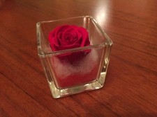 Vasetto in vetro con rosa in