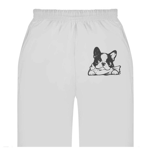 French bulldog wearing - 'french,