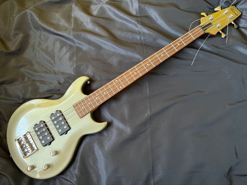 Basso elettrico aria pro - elettrico,