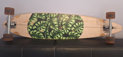 Globe monstera pintail - monstera,