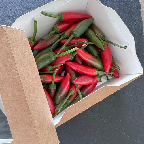 Peperoncino piccante fresco - peperoncino,
