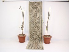 Runner Kilim turco vintage 2x8