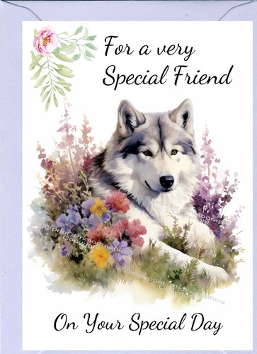 Alaskan malamute dog - alaskan,