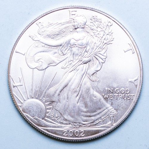 America dollaro 2002 - 2002, american
