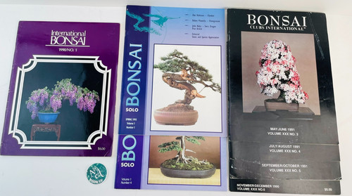 International bonsai lot - of, 7