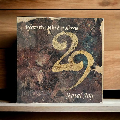 Twenty nine palms - lp, 12"
