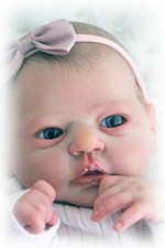 ~ Precious Baban ~ Hybrid