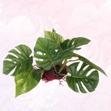  Piante Per Acquario Finte Di