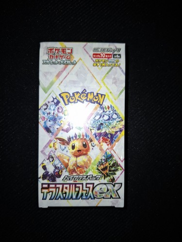 Pokemon terastal festival - pokemon,