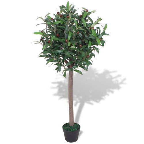 Vidaxl albero alloro - vidaxl,