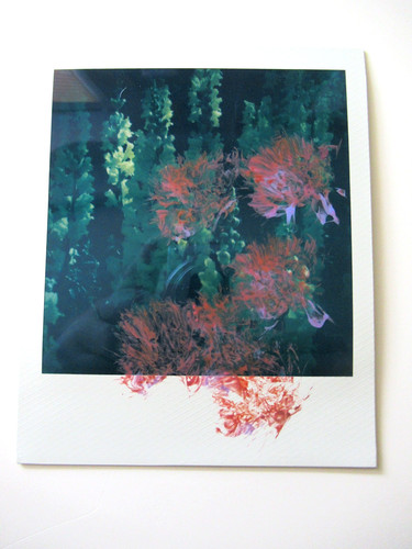Araki polaroid originale - n.,